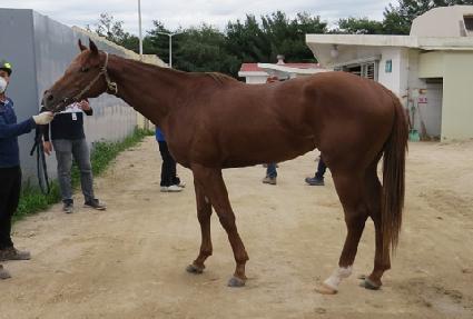 ��ũ�÷��̾� ����