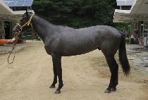 �ͻ������ (MAENGSAN HERO) ����