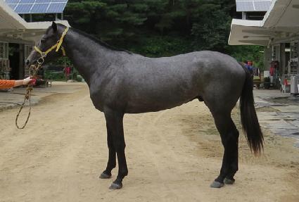 �ͻ������ ����