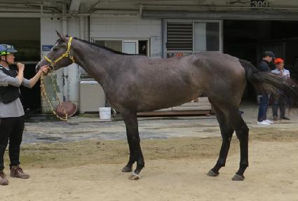 ĳ������ ����