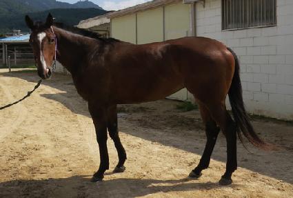 ��������Ƽ ����