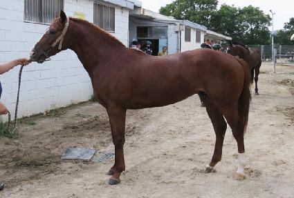 ���� ����