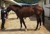 ����ô� (SEOUL SIDAE) ����