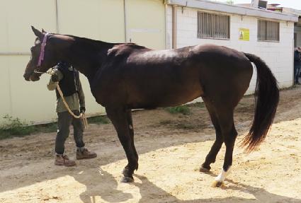 �������Ŀ� ����