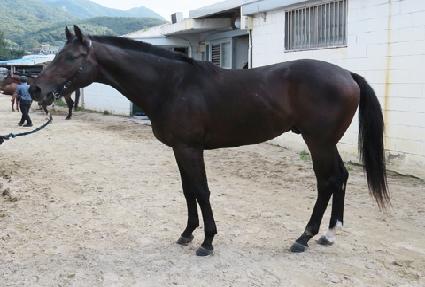 õ������ ����