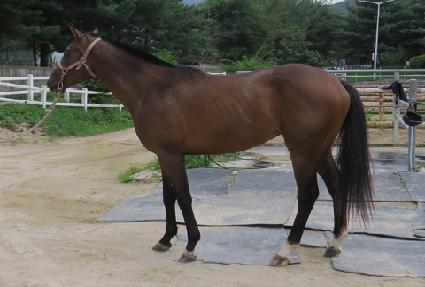 �������� ����