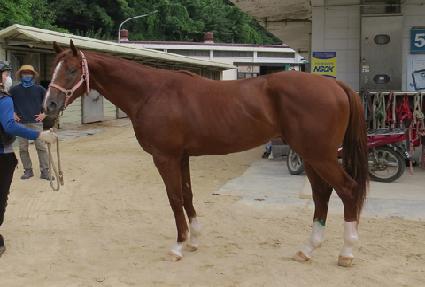 ť�ǵ尡�� ����