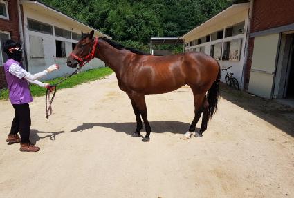 ����õ�� ����