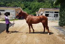 �ø�Ÿ�� (CURLIN TIME) ����