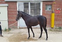 �۽�Ʈü���� (FIRST CHANGER) ����