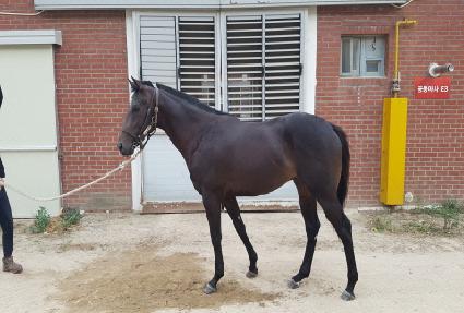 �۽�Ʈü���� ����