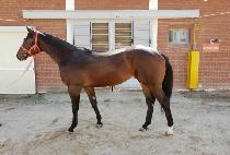 ��ġŷ (MATCH KING) ����