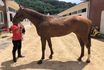 ����ĭ�� ����