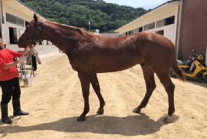 �����̹� ����