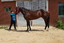 �ݼ��� (GEUMSUYA) ����