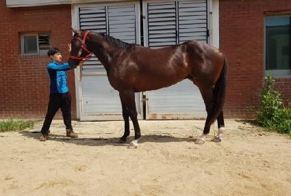 �ݼ��� ����