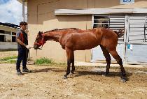 ��� (SSONSAL) ����