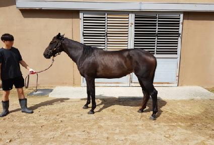 ������ ����