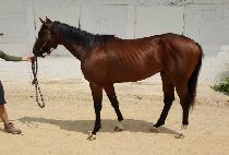 ��������Ʈ (YES PERFECT) ����