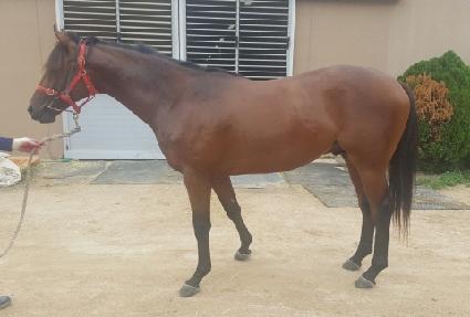 �׷���Ʈ�� ����