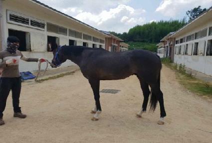 �ڸ��������� ����