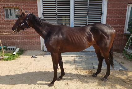 û���Ƽ ����