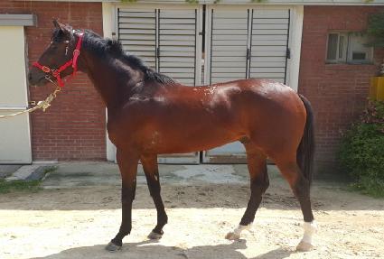 �����Ŀ� ����