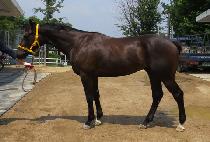 ���׵�Ʈ (BENEDICT) ����