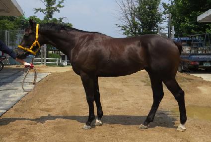 ���׵�Ʈ ����