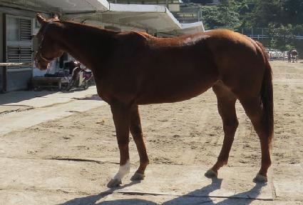 ������ũ ����