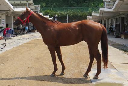 �������� ����