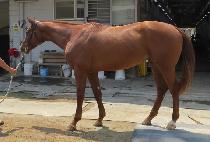 �÷�����Ʈ (FLASH JET) ����