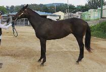 ���̹������丮 (FAVORITE STORY) ����