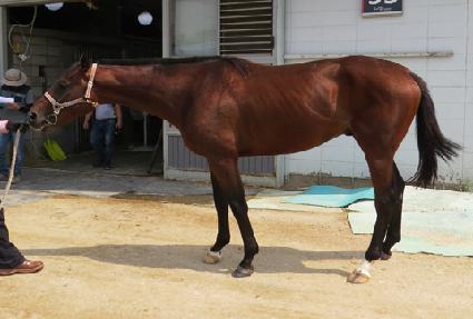 �ɹ̺��� ����