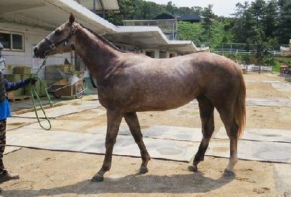 ��Ʋ�����÷��� ����