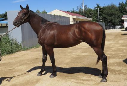 �����Լ� ����