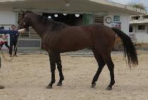 �̽�Ʈ���� (EAST K) ����