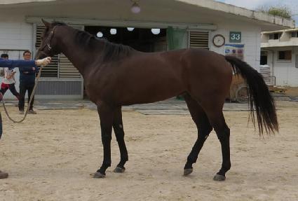 �̽�Ʈ���� ����