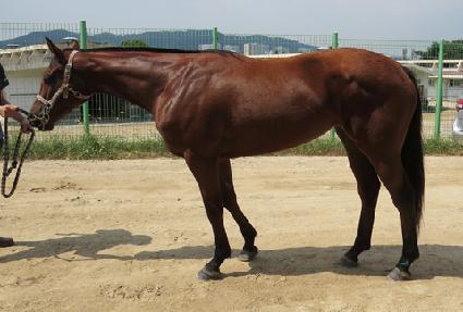 ����ϰ� ����