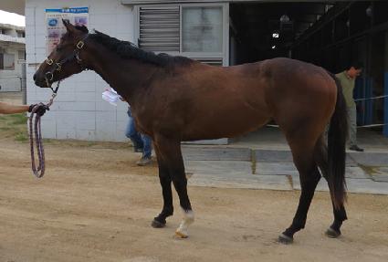 Ĺ���̶�Ŭ ����