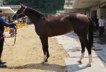 õ��� (CHEONUN DONGHAENG) ����