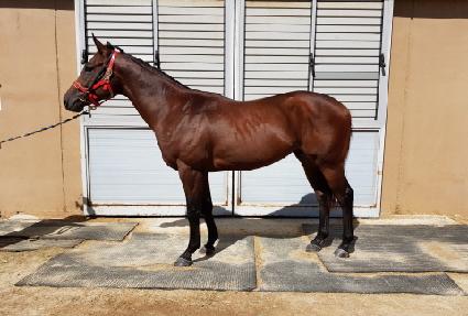 ž�轺 ����