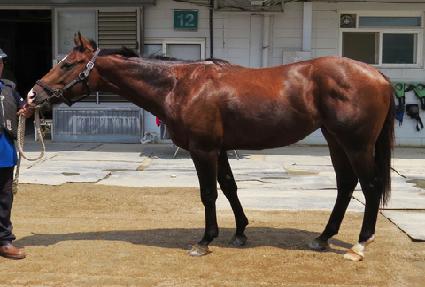 ��Ʋ��Ÿ�̰� ����