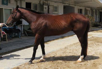 Ʈ����ĭ ����