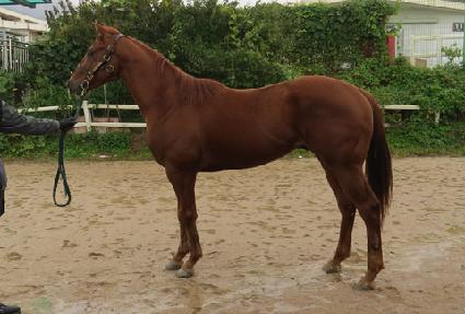 ���ǵ庸�� ����