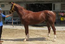 �̽�Ʈ�賲 (EAST KWAENAM) ����