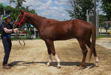 �۷ι�ĸƾ ����