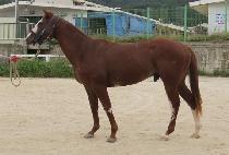 �̽����޺� (MISTER HAETBIT) ����