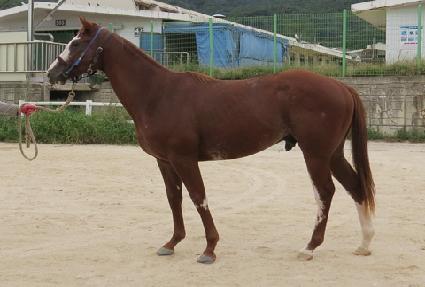 �̽����޺� ����