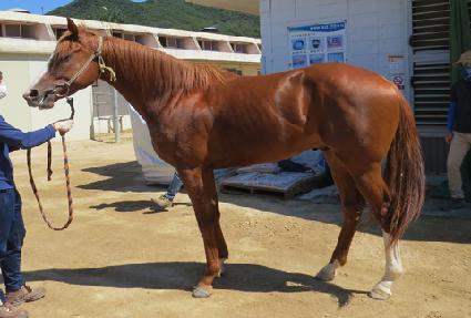 �ӽ��ʷ� ����